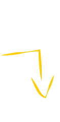arrows